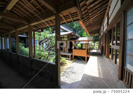 浜松　龍潭寺 73005224