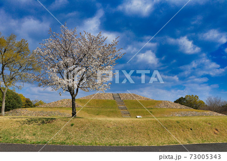 古墳と桜 古墳と桜 73005343