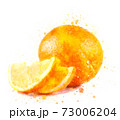 Orange with two slices 73006204