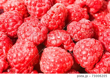 Heap raspberries. Natural texture background 73006205