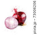 Red onion 73006206