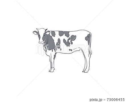 正面を見る牛のイラスト素材 [73006455] - PIXTA