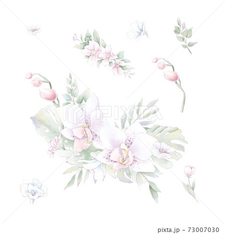 Set of watercolor Flowers orchids, watercolor illustration Set of watercolor Flowers orchids, watercolor illustration 73007030
