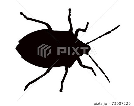 an insect body silhouette vector 73007229