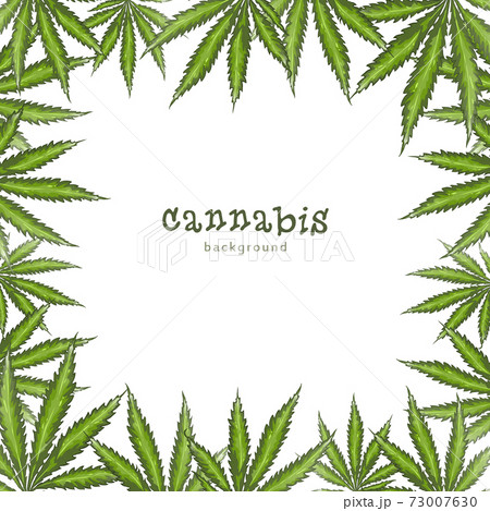 Cannabis frame card or invitation design with hand drawn Marijuana leaf. Cannabis leaf design 73007630