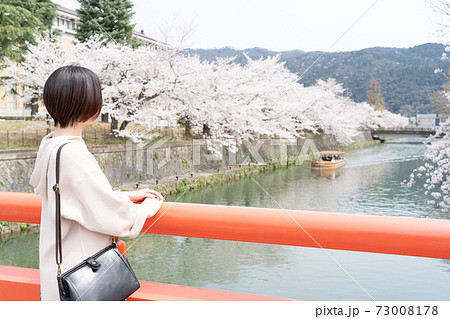 春の時期に京都で観光を楽しんでいる女性 春の時期に京都で観光を楽しんでいる女性 73008178