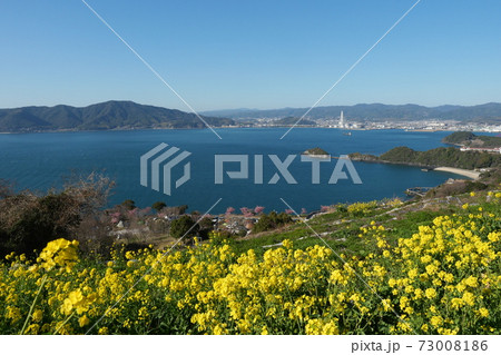 春の笠戸島 73008186