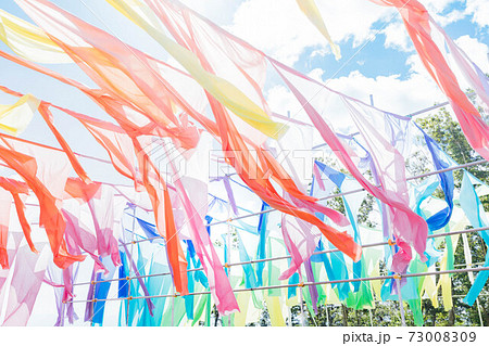 滋賀県 琵琶湖の見える丘 虹のカーテン 73008309