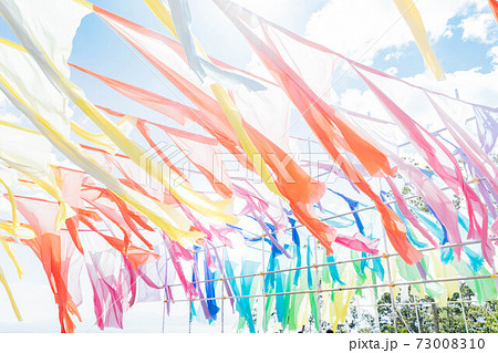 滋賀県 琵琶湖の見える丘 虹のカーテン 73008310