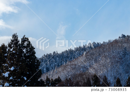 雪景色 冬の朝 山 秋田県 雪景色 冬の朝 山 秋田県 73008935