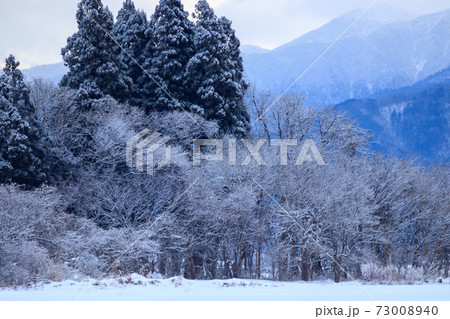 雪景色　冬の朝　山　秋田県 73008940