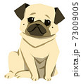 パグ(フォーン)Fawnpug 73009005