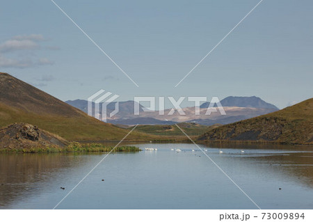 Beautiful and rare area of pseudo craters aka volcanics near Skutustadir and lake Myvatn in Iceland Beautiful and rare area of pseudo craters aka volcanics near Skutustadir and lake Myvatn in Iceland 73009894