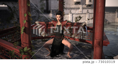 Woman from China performing dance and fighting figures with the sword in the Chinese pavilion. 3D rendering, 3D illustration, 3D art. 73010319