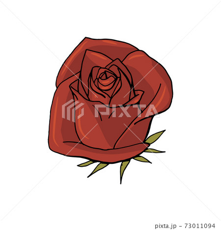 hand drawn rose flower. floral design element hand drawn rose flower. floral design element 73011094