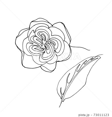 Hand drawn rose flower, one single continuous line drawing. Hand drawn rose flower, one single continuous line drawing. 73011123