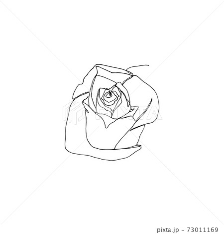 Hand drawn rose flower, one single continuous line drawing. Hand drawn rose flower, one single continuous line drawing. 73011169