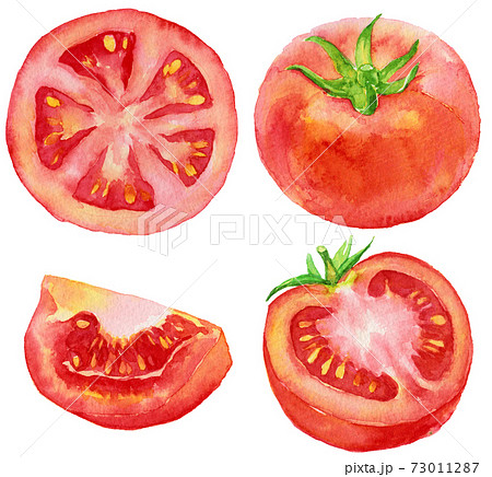 水彩トマトといろんなカットトマトのイラスト素材
