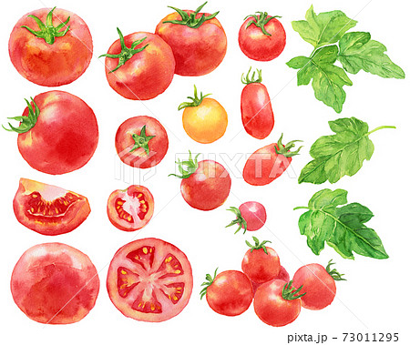 水彩トマトとミニトマトの素材集のイラスト素材