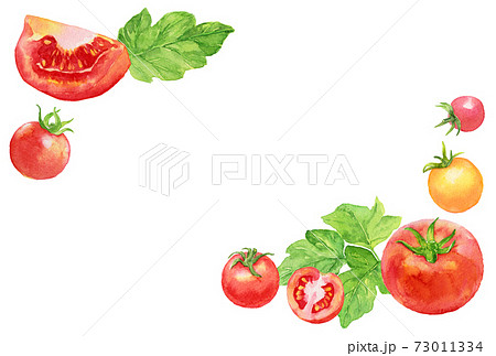 水彩トマトとミニトマトのフレーム ハガキ横のイラスト素材