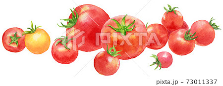 水彩トマトのまわりにミニトマトのイラスト素材