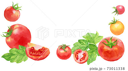 水彩トマトとミニトマトの下フレームのイラスト素材
