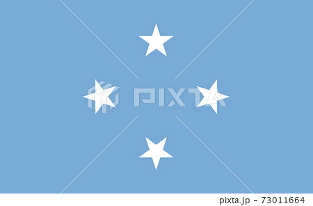 Micronesia national flag in exact proportions - Vector 73011664