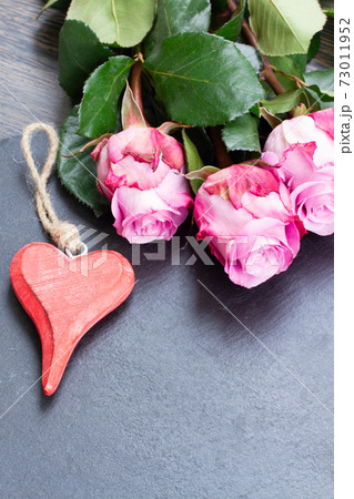red and pink roses on table 73011952