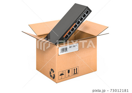 Network switch inside cardboard box, delivery concept. 3D rendering 73012181