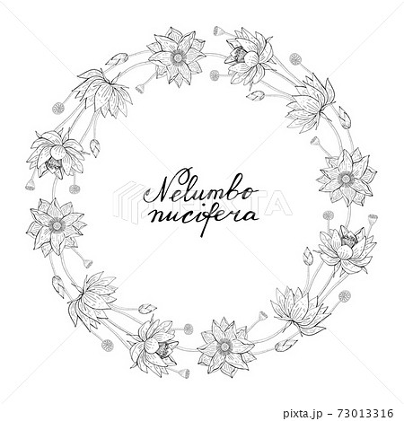 Wreath from lotus flower, floral round decoration border 73013316