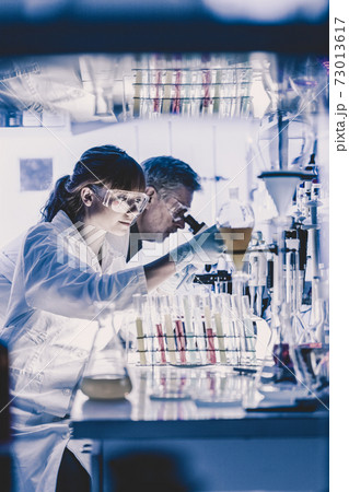 Health care researchers working in scientific laboratory. 73013617