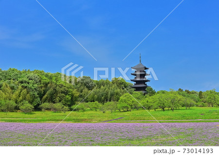 【岡山県】備中国分寺の五重塔 【岡山県】備中国分寺の五重塔 73014193