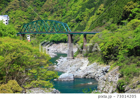 【徳島県】新緑の大歩危峡 73014205
