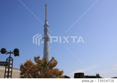 東京都墨田区の東京スカイツリーの見える風景 東京都墨田区の東京スカイツリーの見える風景 73014718