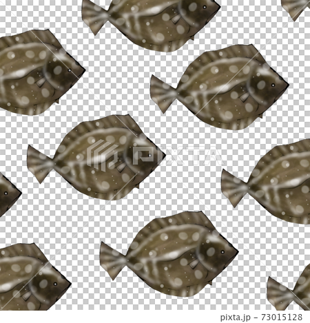カレイの群れのイラスト 73015128