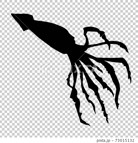 cuttlefish silhouette