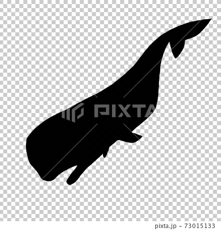 マッコウクジラのシルエットのイラスト素材