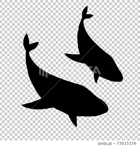 二匹のクジラのシルエットのイラスト素材