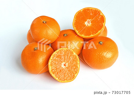 三ヶ日みかん 73017705