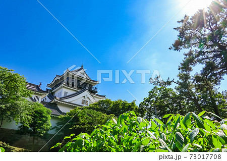 徳川家康生誕の地、岡崎城〈愛知県岡崎市〉 徳川家康生誕の地、岡崎城〈愛知県岡崎市〉 73017708