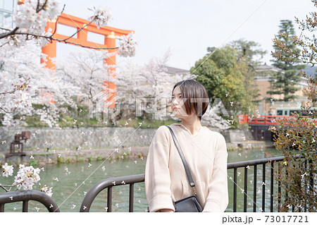 春の時期、京都東山で観光を楽しむ女性 春の時期、京都東山で観光を楽しむ女性 73017721