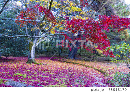 秋の京都 修学院離宮 秋の京都 修学院離宮 73018170