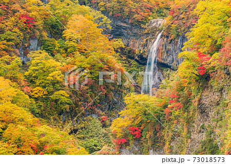 新潟妙高_紅葉の惣滝 新潟妙高_紅葉の惣滝 73018573