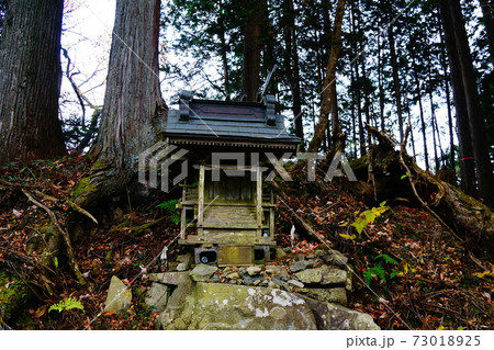 川苔山への登山道　大根山の神 73018925