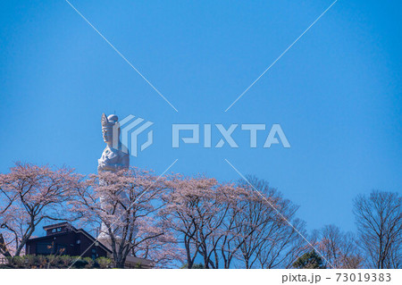 船岡城址公園の船岡平和観音と桜 【宮城県】 船岡城址公園の船岡平和観音と桜 【宮城県】 73019383