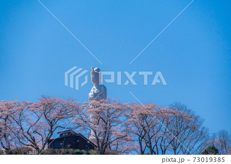 船岡城址公園の船岡平和観音と桜 【宮城県】 船岡城址公園の船岡平和観音と桜 【宮城県】 73019385