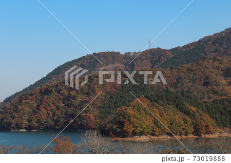 宮ヶ瀬湖の紅葉 神奈川県清川村 の写真素材