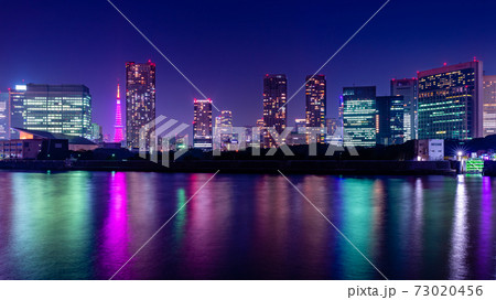 東京　都市夜景（東京タワー、汐留のビル群） 73020456