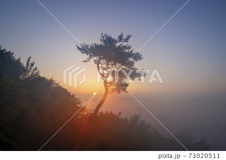 空 木 夕焼け 73020511
