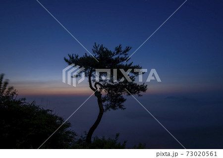 空 木 夕焼け 73020561